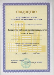 Certificate RAACS (Russian Academy of Architecture and Construction Sciences)