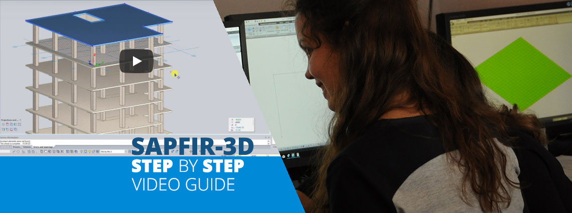 SAPFIR: Step by step guide